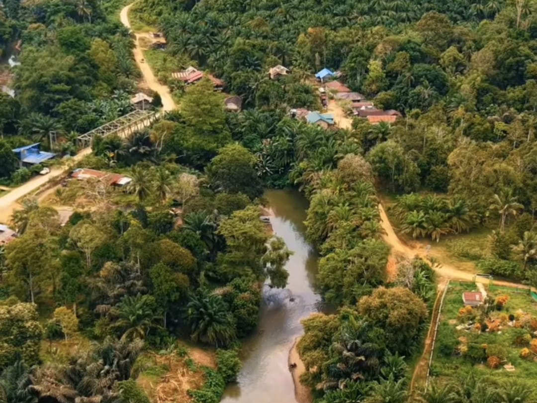 WhatsApp_Image_2026-02-05_at_19-23-56